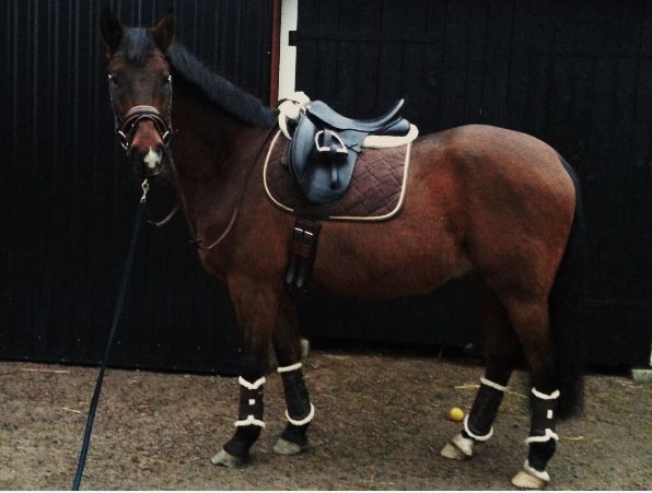 Blixten visar upp dagens outfit som gick i brunt med beigea detaljer