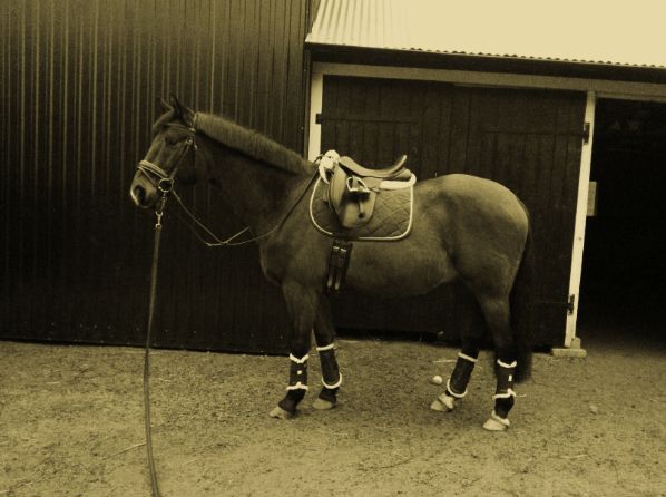 Visar upp utrustningen