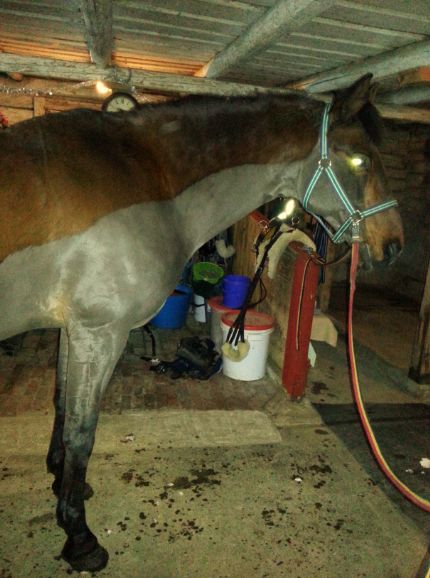 Det var inte mycket som försvann, men bättre än inget i alla fall.