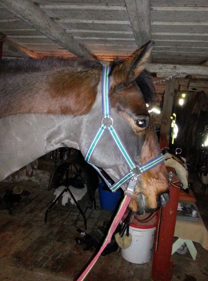 Blixten är fin i sin Bucasgrimma