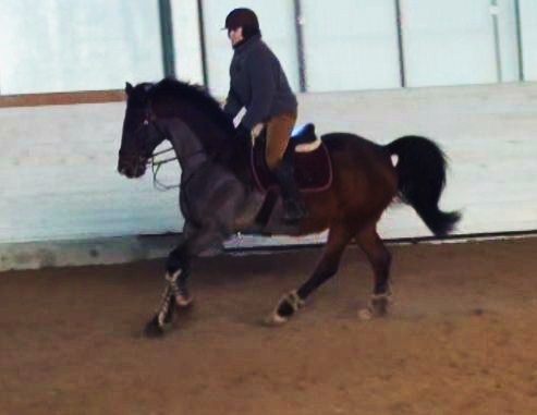 Hade några ljusa stunder i alla fall