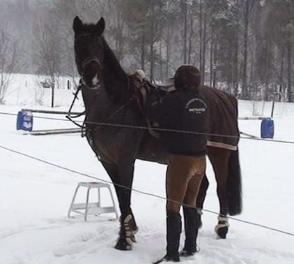 Snygga, söta prinsen