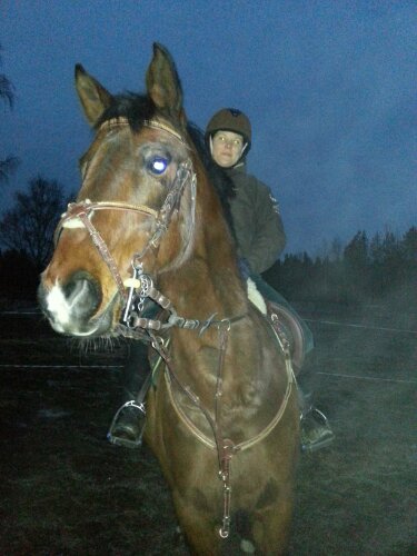 Fina Blixten inför dagens klättring