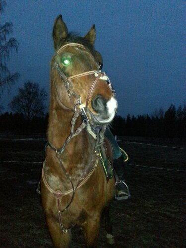 Han fick ha det fina setet med klinkerträns och klinkerförbygel