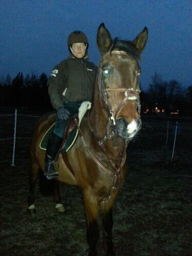 Snyggt grönt sammetschabrak