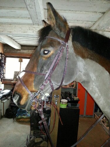 Tränset är inte så lila/rödbrunt som det ser ut på bilden