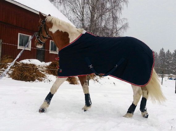 Han tar för sig i fram