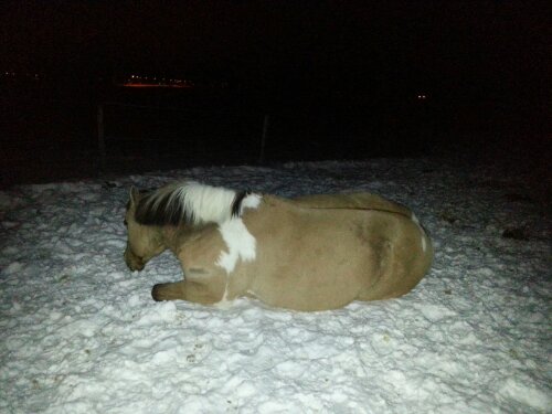 20130222_001659.jpg image