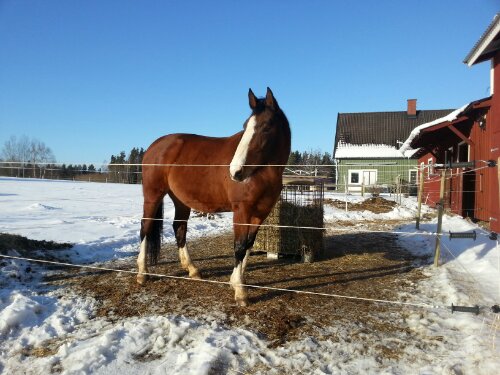 Hon får stå ut med sin minilösdrift ett tag till.