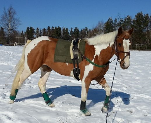 Värmer upp inför ett lite tuffare pass än normalt.