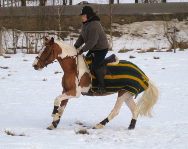 Roligt med galopp och helst ska det gå fort!