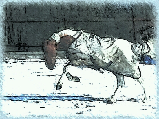 Busungen - vintern 2013