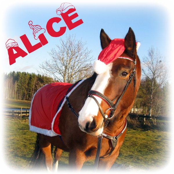 Alice.julbild.2014