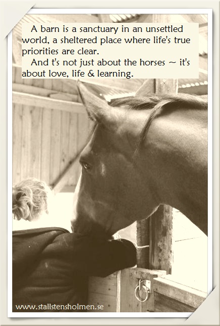 A.barn.is.a.sanctuary