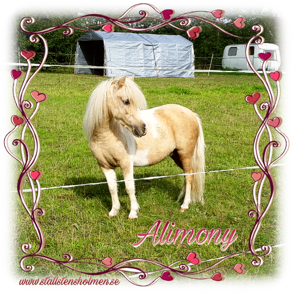 wp-image--2091651822